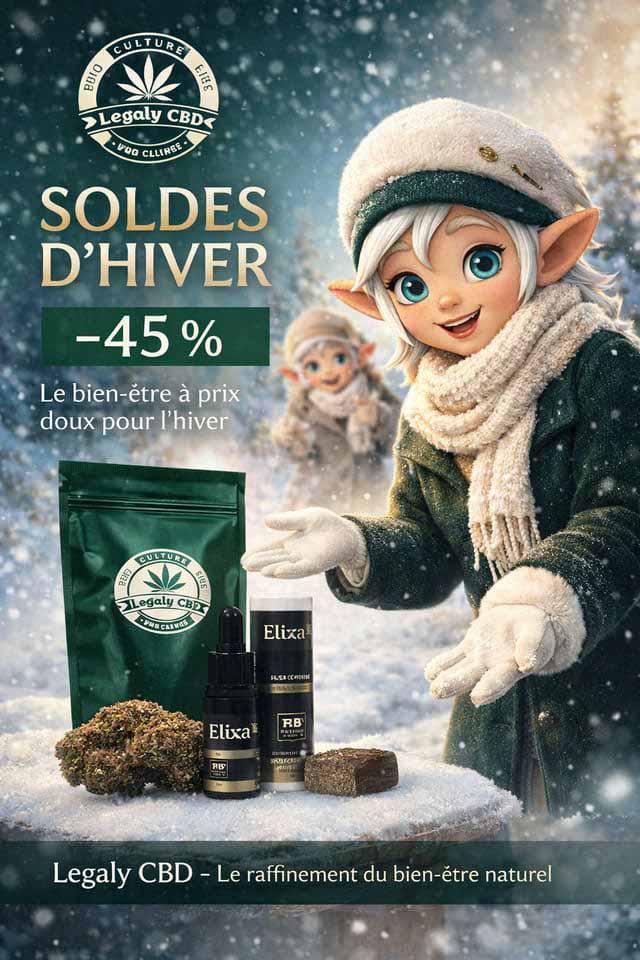 Soldes dhiver 2026
